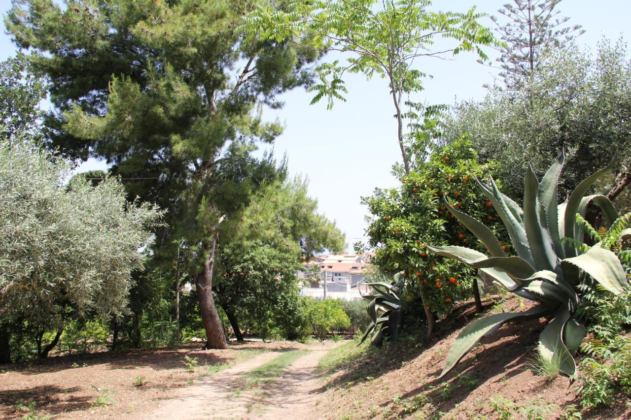 Tenuta Conte Ruggero Santa Domenica  Esterno foto